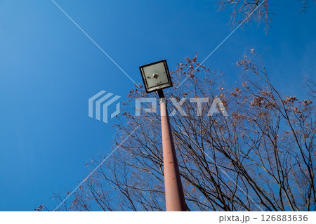 公園照明灯 126883636