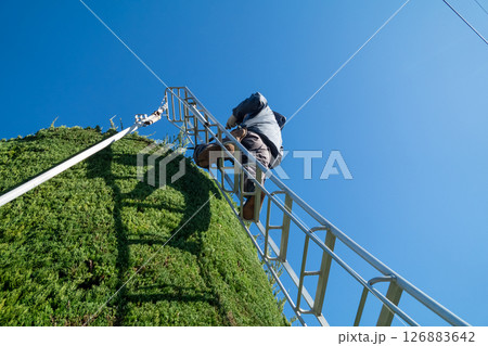 庭師 植木屋 庭師 植木屋 126883642
