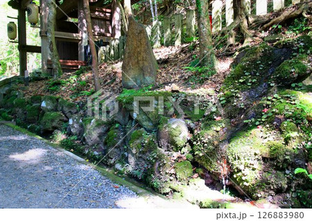 宇宙エネルギーが降注ぎ京の都の鬼門を護る鞍馬寺の… 金運向上パワースポット『信樂香雲歌碑』 126883980