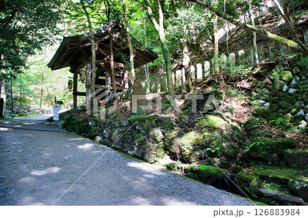 宇宙エネルギーが降注ぎ京の都の鬼門を護る鞍馬寺の… 金運向上パワースポット『信樂香雲歌碑』 126883984