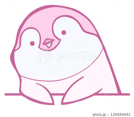 おしゃべりするコウテイペンギンのヒナ(さくら色) 126884042