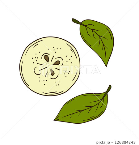 Illustration in hand draw style. Icon, sign, sticker, pin, logo 126884245