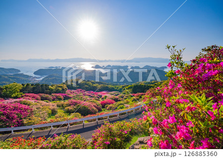 (長崎県)長串山公園 満開のツツジの向こうに北九十九島 (長崎県)長串山公園 満開のツツジの向こうに北九十九島 126885360