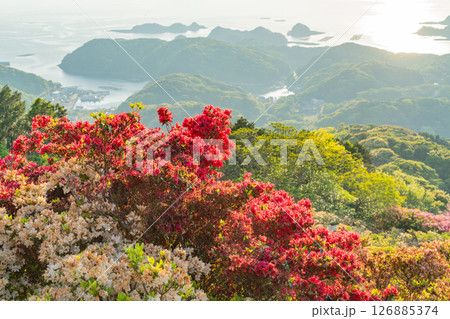 (長崎県)長串山公園 満開のツツジの向こうに北九十九島 (長崎県)長串山公園 満開のツツジの向こうに北九十九島 126885374