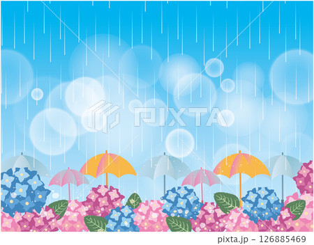 夏の梅雨の季節 126885469