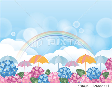 夏の梅雨の季節 126885471