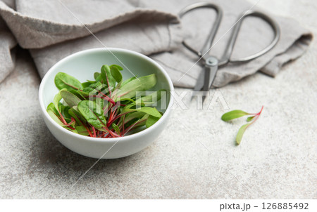 Freshly cut microgreens of red chard in a bowl, ready for healthy meal preparation Freshly cut microgreens of red chard in a bowl, ready for healthy meal preparation 126885492