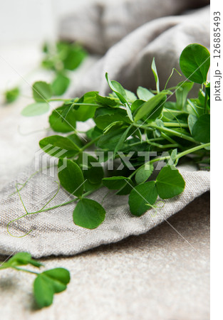 Fresh pea shoots resting on linen cloth, healthy microgreens for culinary delights 126885493