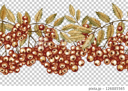 Seamless border ashberry . Autumn pattern with berries and leaves of mountain ash. Handmade watercolor illustration. Color image for packaging, decor, textiles and more. 126885565