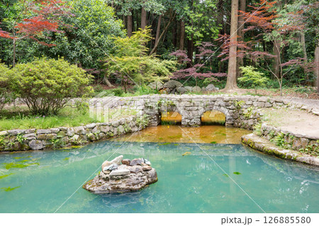 鳴門市の大麻比古神社境内にあるドイツ兵が作ったメガネ橋 126885580