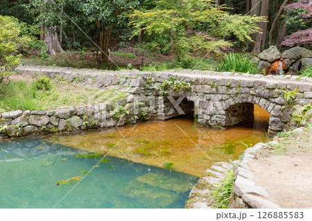 鳴門市の大麻比古神社境内にあるドイツ兵が作ったメガネ橋 鳴門市の大麻比古神社境内にあるドイツ兵が作ったメガネ橋 126885583