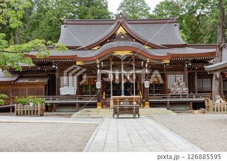 鳴門市にある大麻比古神社内の本殿 鳴門市にある大麻比古神社内の本殿 126885595