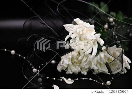 訃報、お悔みのイメージの花 訃報、お悔みのイメージの花 126885604