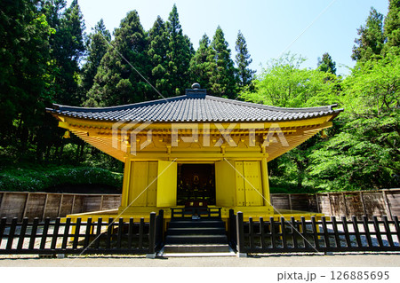 えさし藤原の郷　金色堂再現建築物　岩手県 126885695