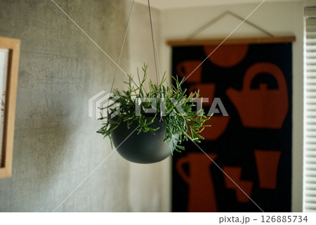 窓辺に吊るした観葉植物の鉢 窓辺に吊るした観葉植物の鉢 126885734