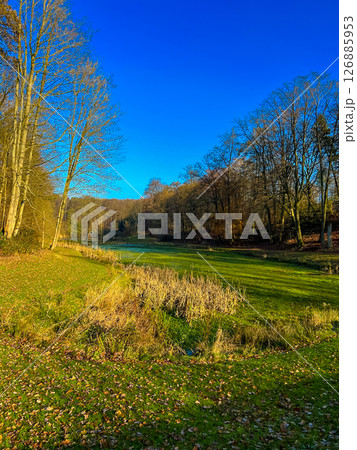 Stunning autumn scene in waterloo, belgium: scenic lake, trees, and blue sky 126885953
