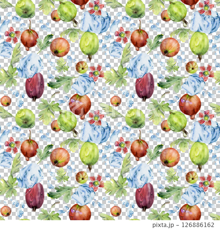 Gooseberry Currant berries flying in water splash with ice cubes dew drops flowers leaves, ripe garden juneberry casseille hand drawn in watercolor. Isolated seamless pattern. Craft drinks, grocery Gooseberry Currant berries flying in water splash with ice cubes dew drops flowers leaves, ripe garden juneberry casseille hand drawn in watercolor. Isolated seamless pattern. Craft drinks, grocery 126886162