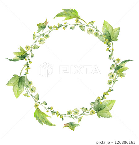 Green leaf, long cluster flower in water dew drops. Bush tree foliage hand drawn in watercolor, Currant gooseberry maple sycamore avens. Isolated wreath frame crown. Florist shop, eco herbal cosmetics 126886163