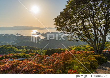 （長崎県）長串山公園　満開のツツジの向こうに北九十九島・夕陽 126886276