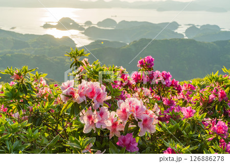 （長崎県）長串山公園　満開のツツジの向こうに北九十九島・夕陽 126886278