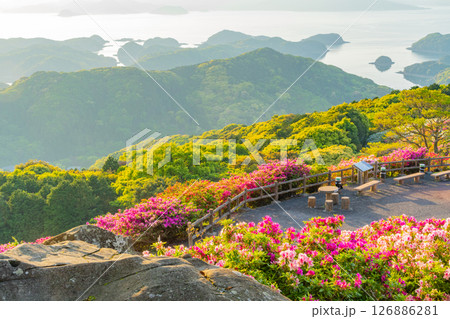 （長崎県）長串山公園　満開のツツジの向こうに北九十九島・夕陽 126886281