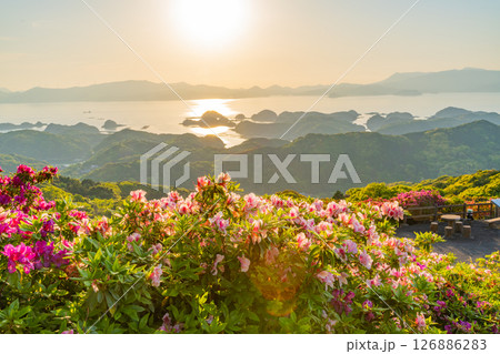 （長崎県）長串山公園　満開のツツジの向こうに北九十九島・夕陽 126886283