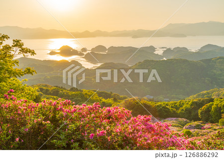 （長崎県）長串山公園　満開のツツジの向こうに北九十九島・夕陽 126886292