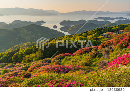 （長崎県）長串山公園　満開のツツジの向こうに北九十九島・夕陽 126886294