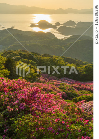 （長崎県）長串山公園　満開のツツジの向こうに北九十九島・夕陽 126886296