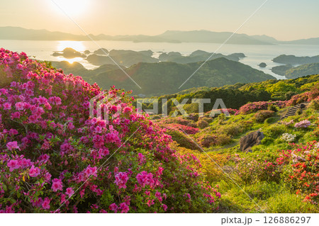 (長崎県)長串山公園 満開のツツジの向こうに北九十九島・夕陽 (長崎県)長串山公園 満開のツツジの向こうに北九十九島・夕陽 126886297