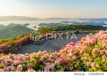 (長崎県)長串山公園 満開のツツジの向こうに北九十九島・夕陽 (長崎県)長串山公園 満開のツツジの向こうに北九十九島・夕陽 126886301