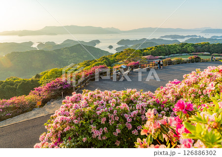 (長崎県)長串山公園 満開のツツジの向こうに北九十九島・夕陽 (長崎県)長串山公園 満開のツツジの向こうに北九十九島・夕陽 126886302