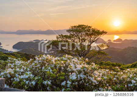（長崎県）長串山公園　満開のツツジの向こうに北九十九島・夕陽 126886316