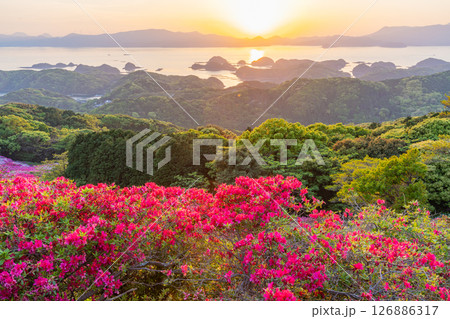 （長崎県）長串山公園　満開のツツジの向こうに北九十九島・夕陽 126886317