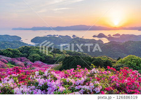 （長崎県）長串山公園　満開のツツジの向こうに北九十九島・夕陽 126886319