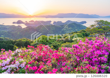 （長崎県）長串山公園　満開のツツジの向こうに北九十九島・夕陽 126886320