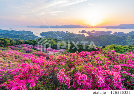 （長崎県）長串山公園　満開のツツジの向こうに北九十九島・夕陽 126886322