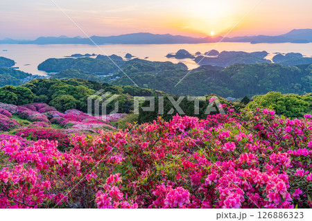 （長崎県）長串山公園　満開のツツジの向こうに北九十九島・夕陽 126886323