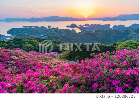 （長崎県）長串山公園　満開のツツジの向こうに北九十九島・夕陽 126886325