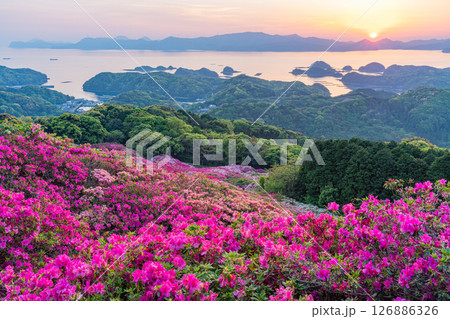 (長崎県)長串山公園 満開のツツジの向こうに北九十九島・夕陽 (長崎県)長串山公園 満開のツツジの向こうに北九十九島・夕陽 126886326