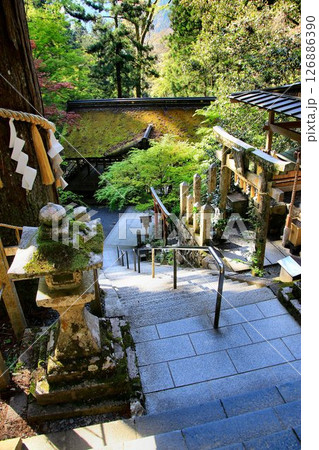 宇宙エネルギーが降注ぎ京の都の鬼門を護る鞍馬寺の鎮守社… 『由岐神社』 126886390