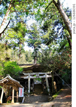 宇宙エネルギーが降注ぎ京の都の鬼門を護る鞍馬寺の鎮守社… 『由岐神社』 宇宙エネルギーが降注ぎ京の都の鬼門を護る鞍馬寺の鎮守社… 『由岐神社』 126886391