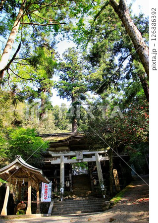 宇宙エネルギーが降注ぎ京の都の鬼門を護る鞍馬寺の鎮守社… 『由岐神社』 126886392