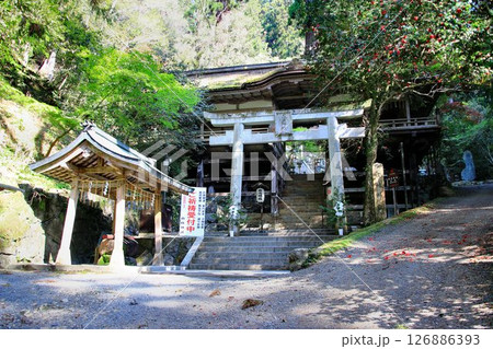 宇宙エネルギーが降注ぎ京の都の鬼門を護る鞍馬寺の鎮守社… 『由岐神社』 宇宙エネルギーが降注ぎ京の都の鬼門を護る鞍馬寺の鎮守社… 『由岐神社』 126886393
