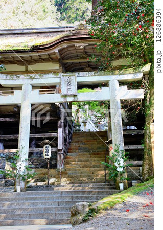 宇宙エネルギーが降注ぎ京の都の鬼門を護る鞍馬寺の鎮守社… 『由岐神社』 126886394