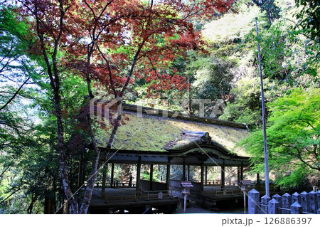 宇宙エネルギーが降注ぎ京の都の鬼門を護る鞍馬寺の鎮守社… 『由岐神社』 126886397