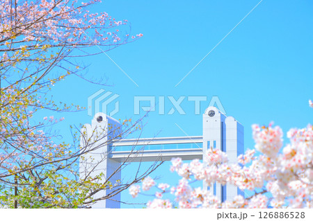 春の愛知県名古屋市、満開の桜と名古屋国際会議場の風景 126886528