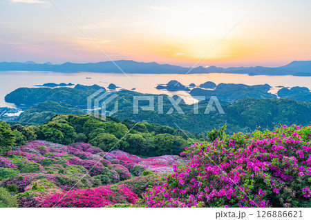 （長崎県）長串山公園　満開のツツジの向こうに北九十九島・夕陽 126886621