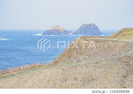 佐渡　外海府海岸（大野亀から） 126886696