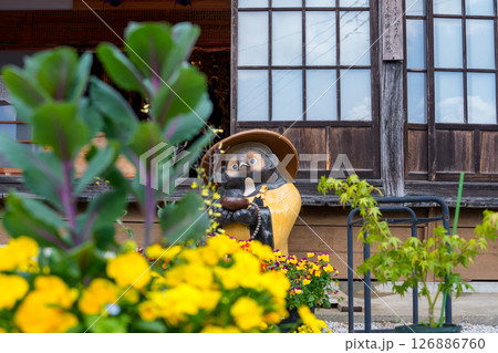 たぬきの置物 たぬきの置物 126886760